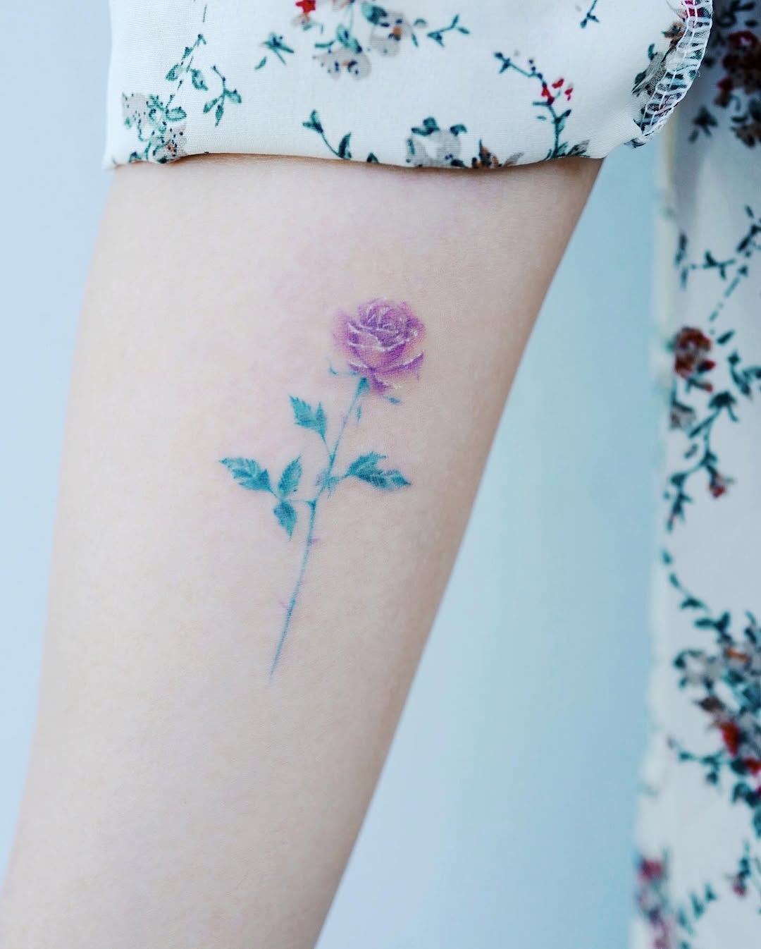 Flower, Rose