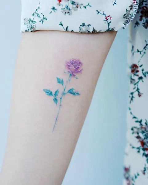 Flower, Rose