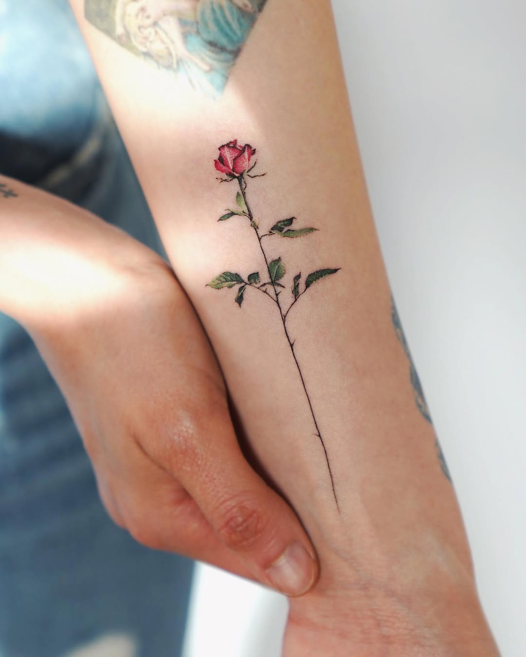 Rose, Flower