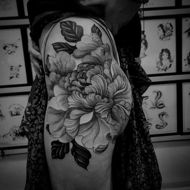 Flower, Rose