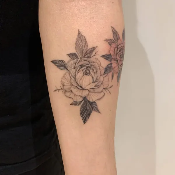 Rose, Flower