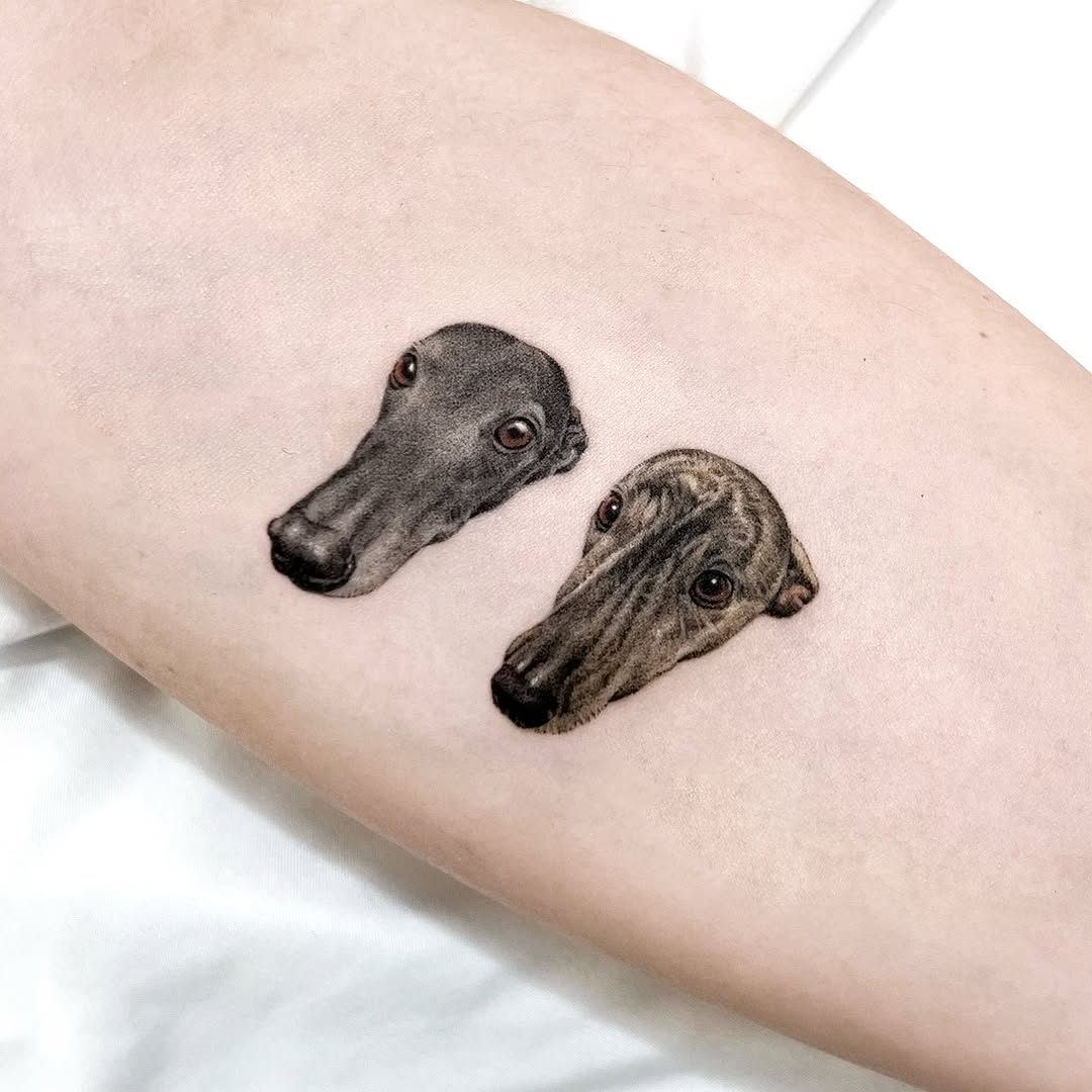 Animal