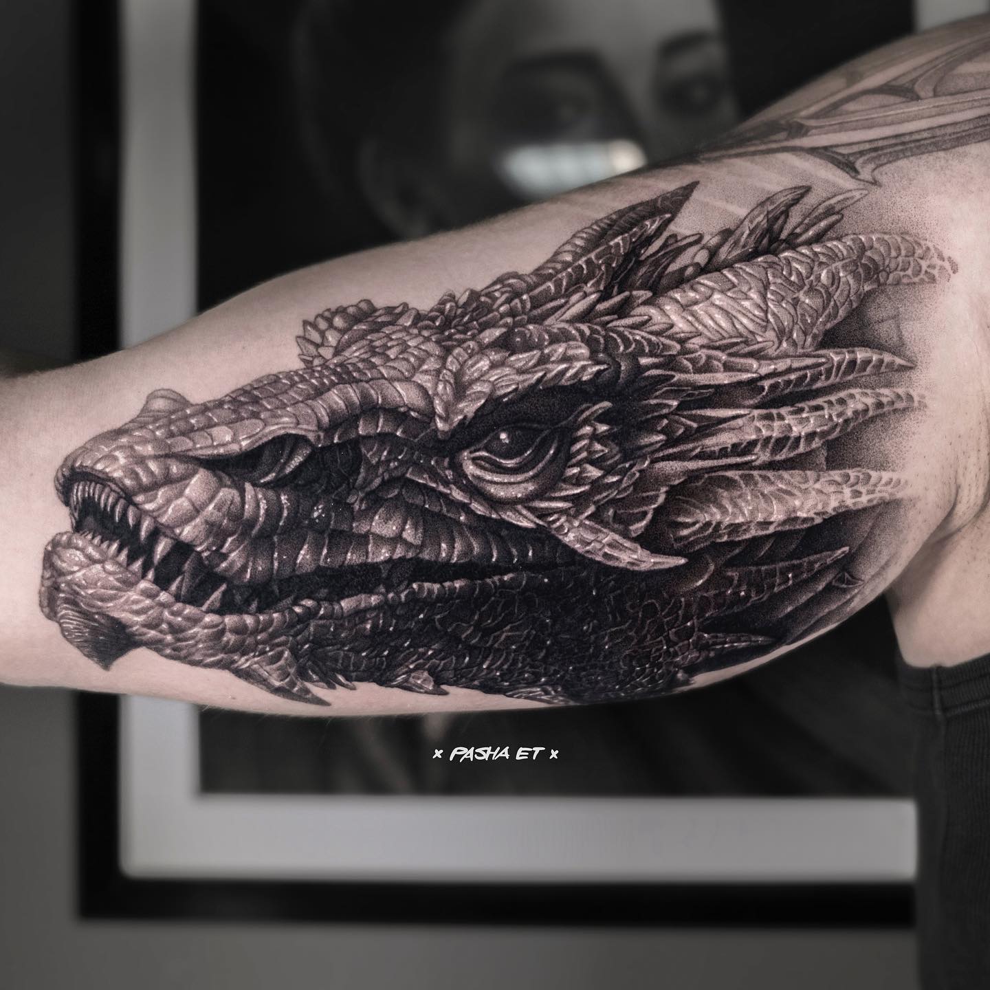 Dragon, 드래곤 라이더