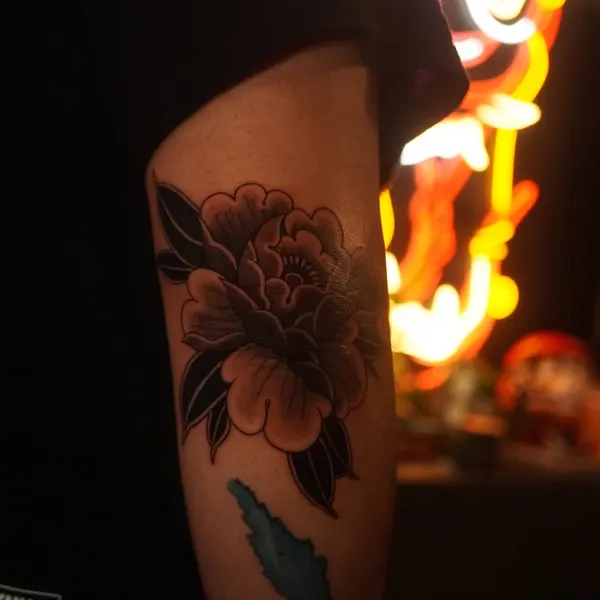 Flower, Rose