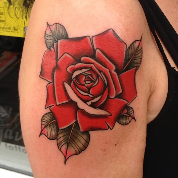 Flower, Rose, Nature