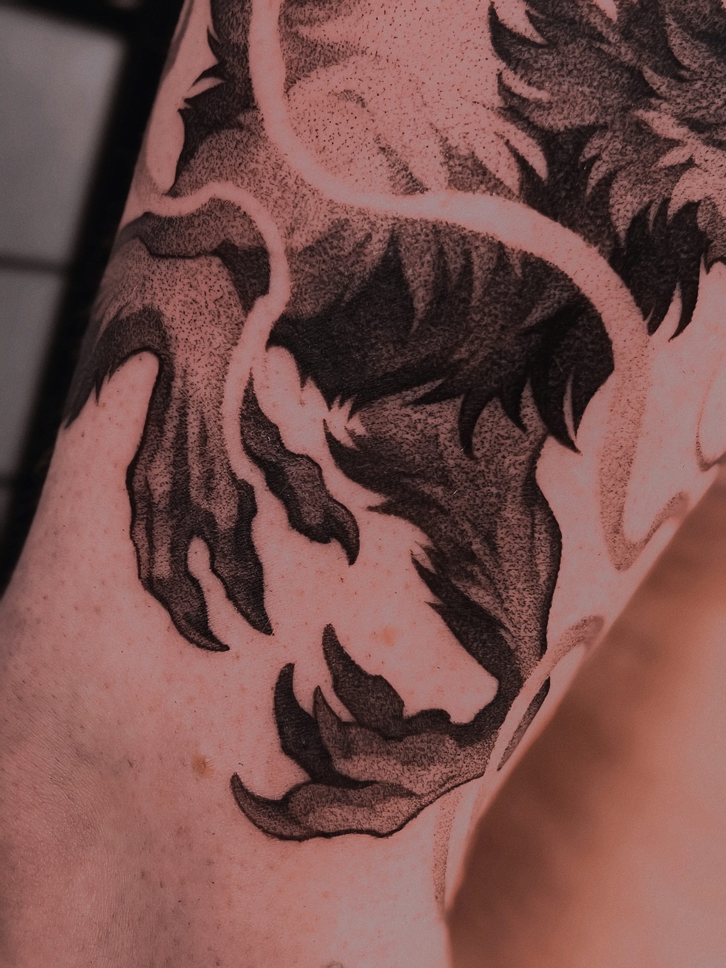 Dragon