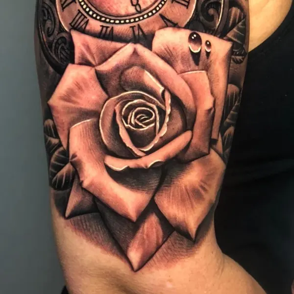 Flower, Rose