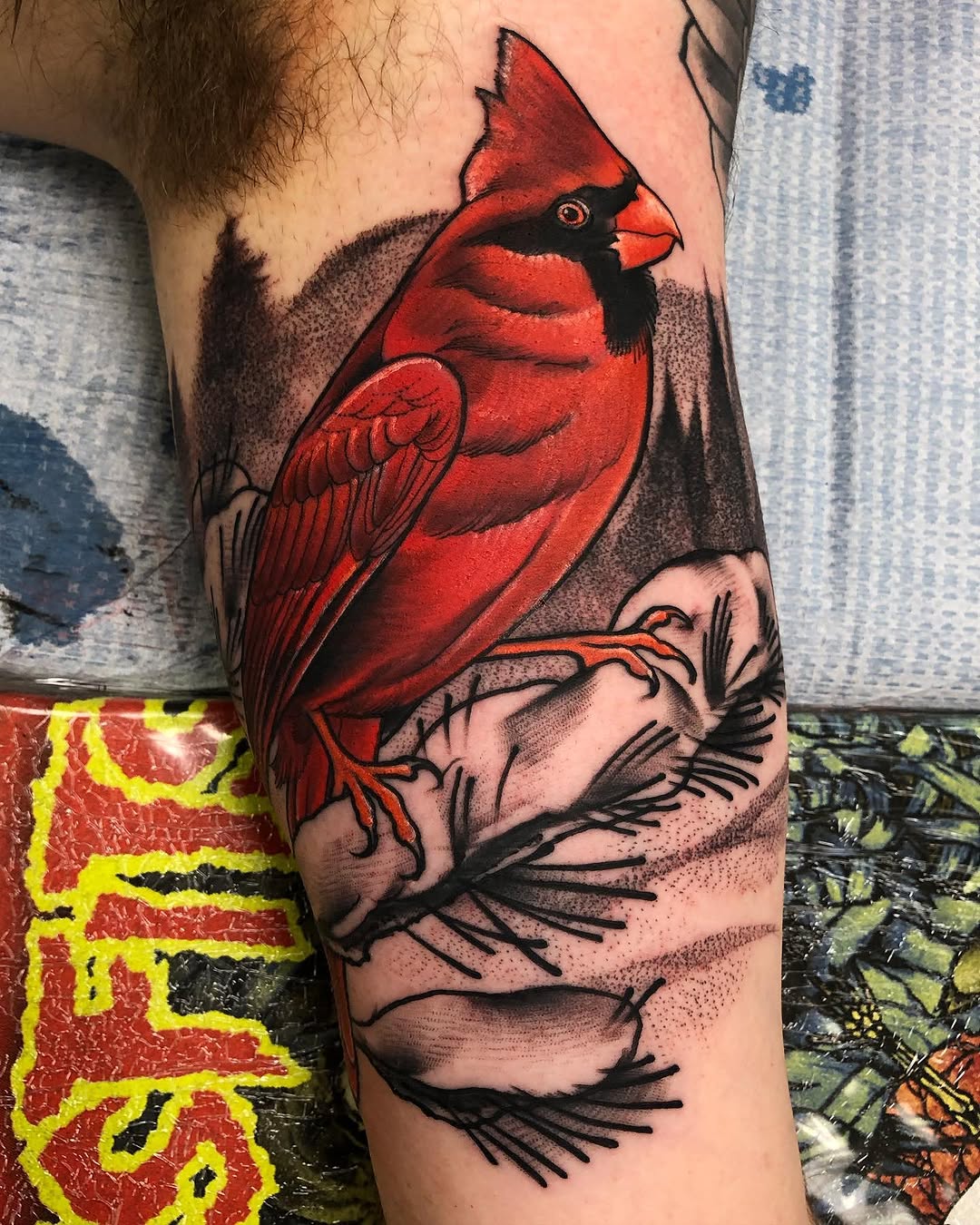 Flower, Animal, Nature