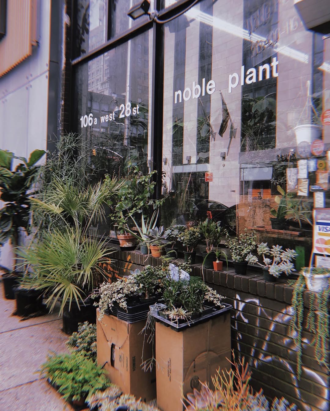 fflowerporn