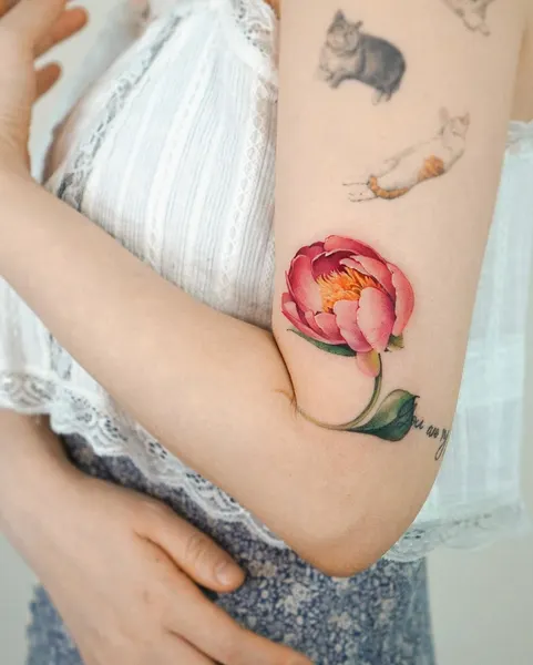 Flower, Rose