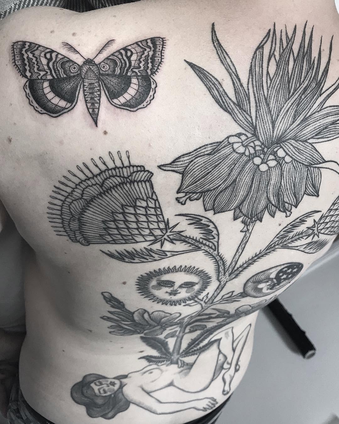 Flower, Animal, Nature