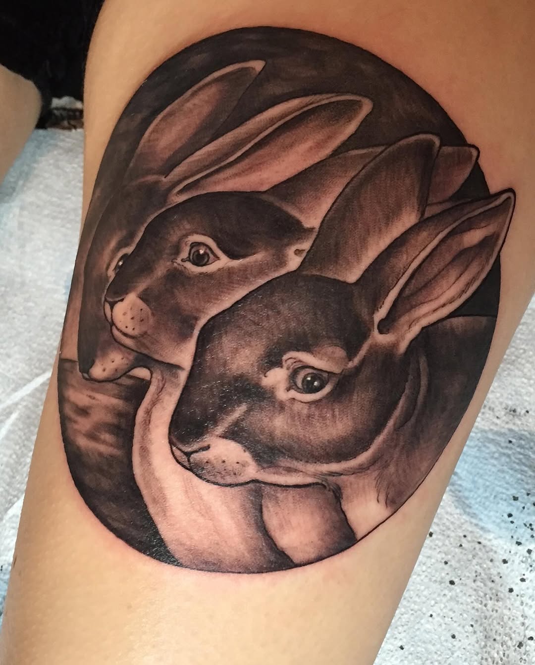 shawn_hebrank
