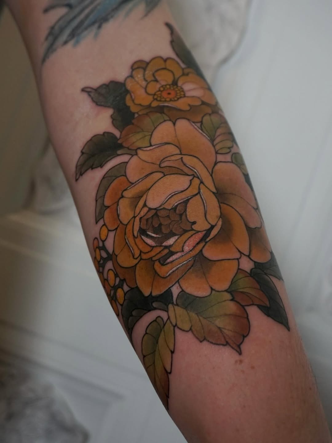 Flower, Rose