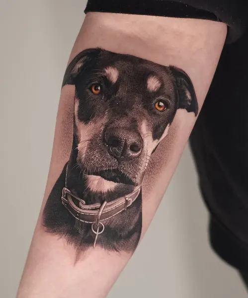 Animal