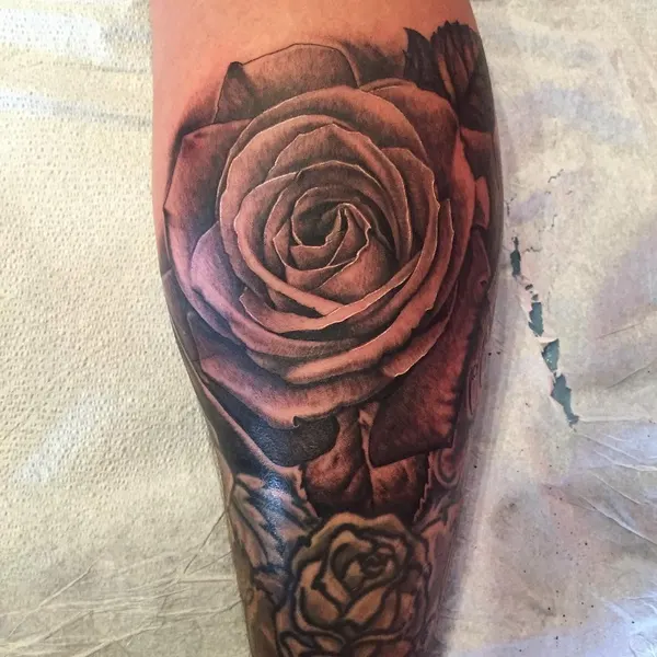 Flower, Rose