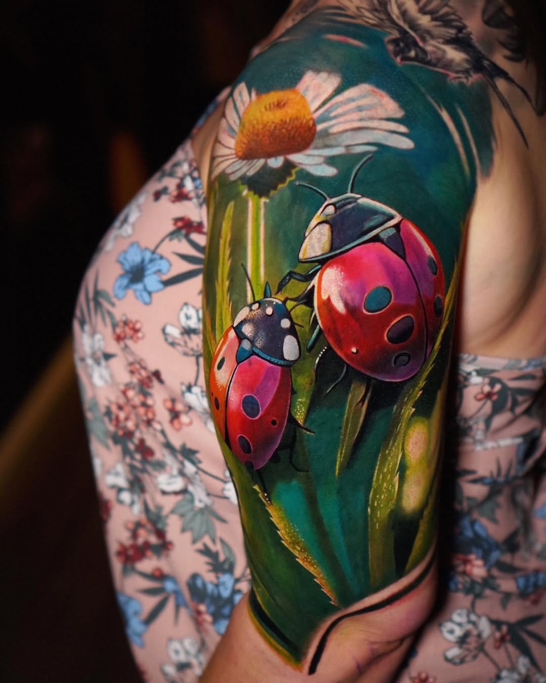 Animal, Flower, 무당벌레, Mini