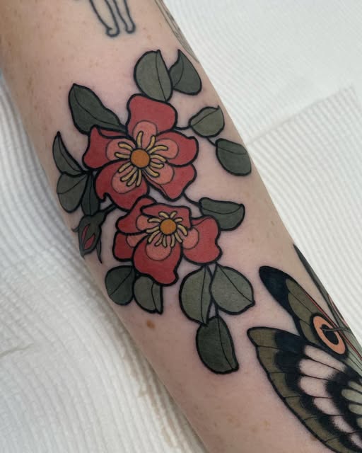 Flower, Rose