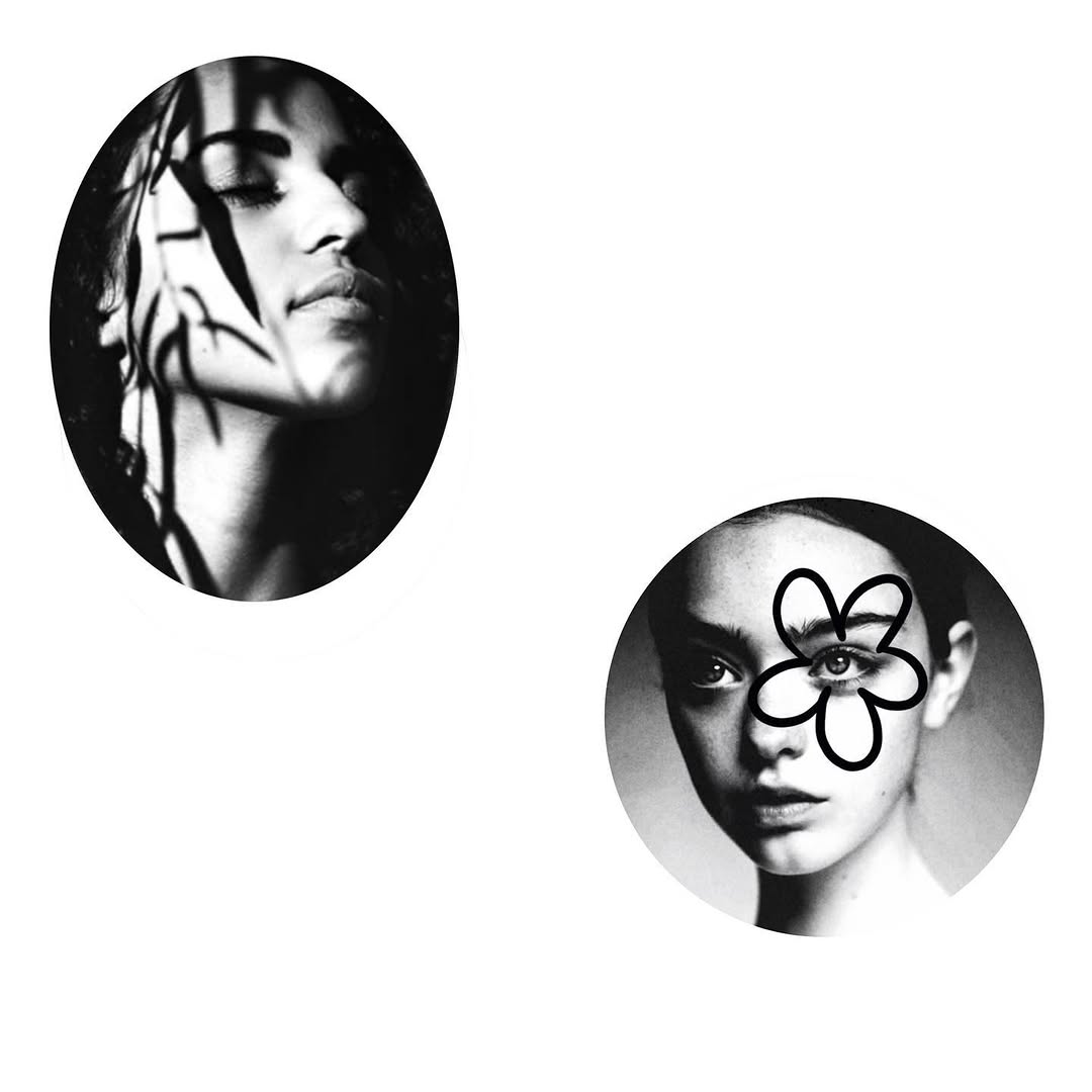 plantsnpokes