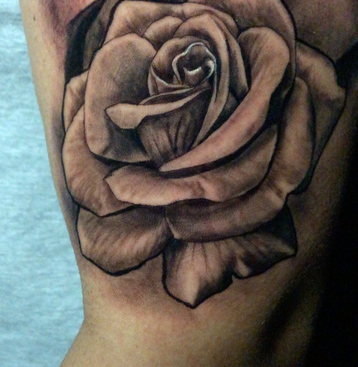 Flower, Rose