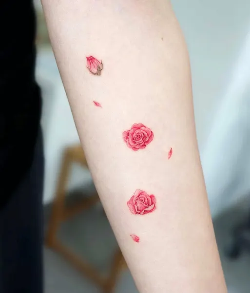 Flower, Rose