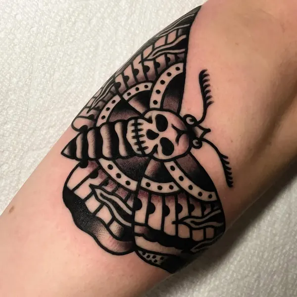 Animal, Nature