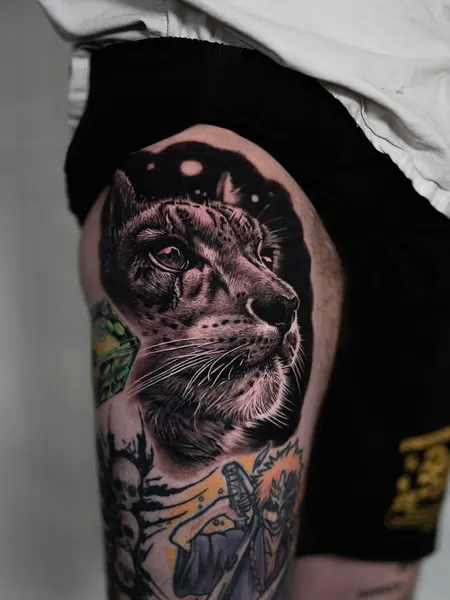 Tiger