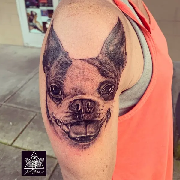 Animal