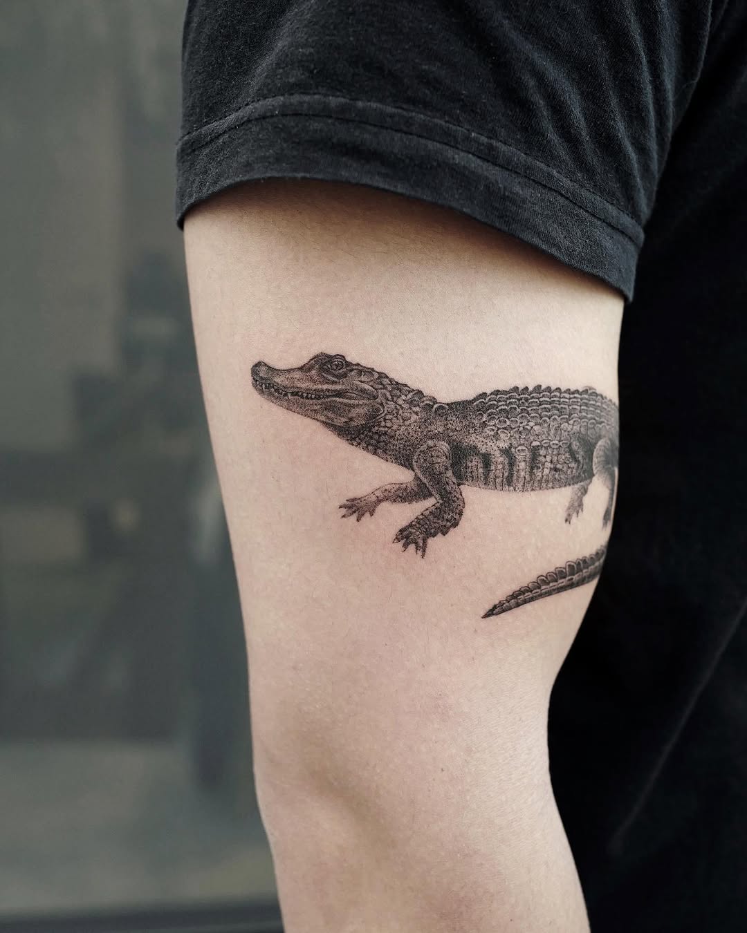 Dragon, 악어