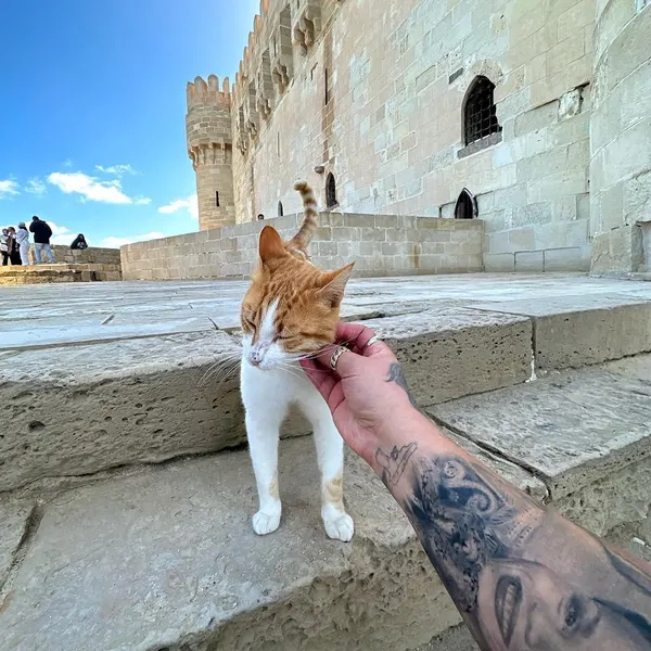 mnsantanatattoo