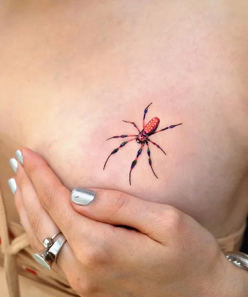 Animal, 거미