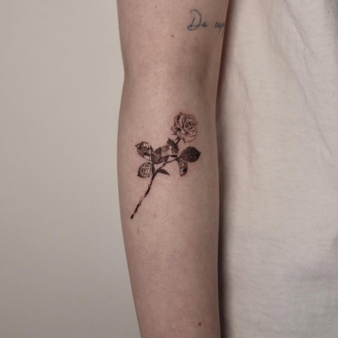 40.tatt