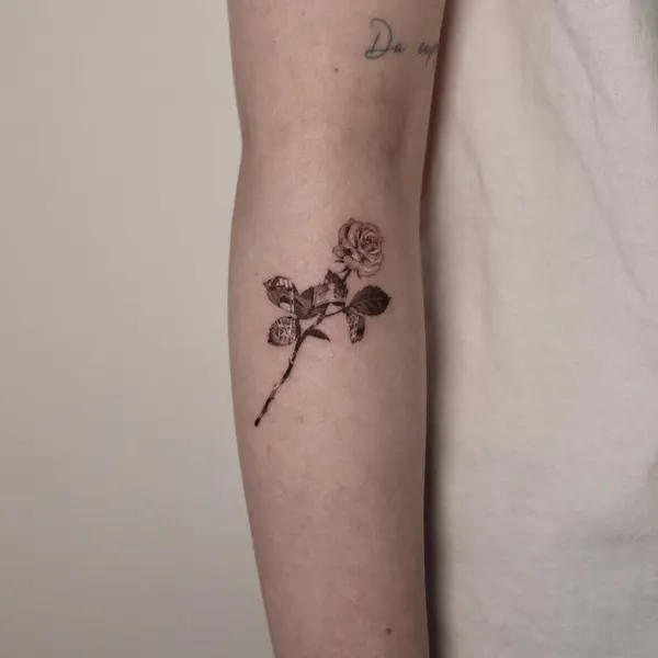 40.tatt
