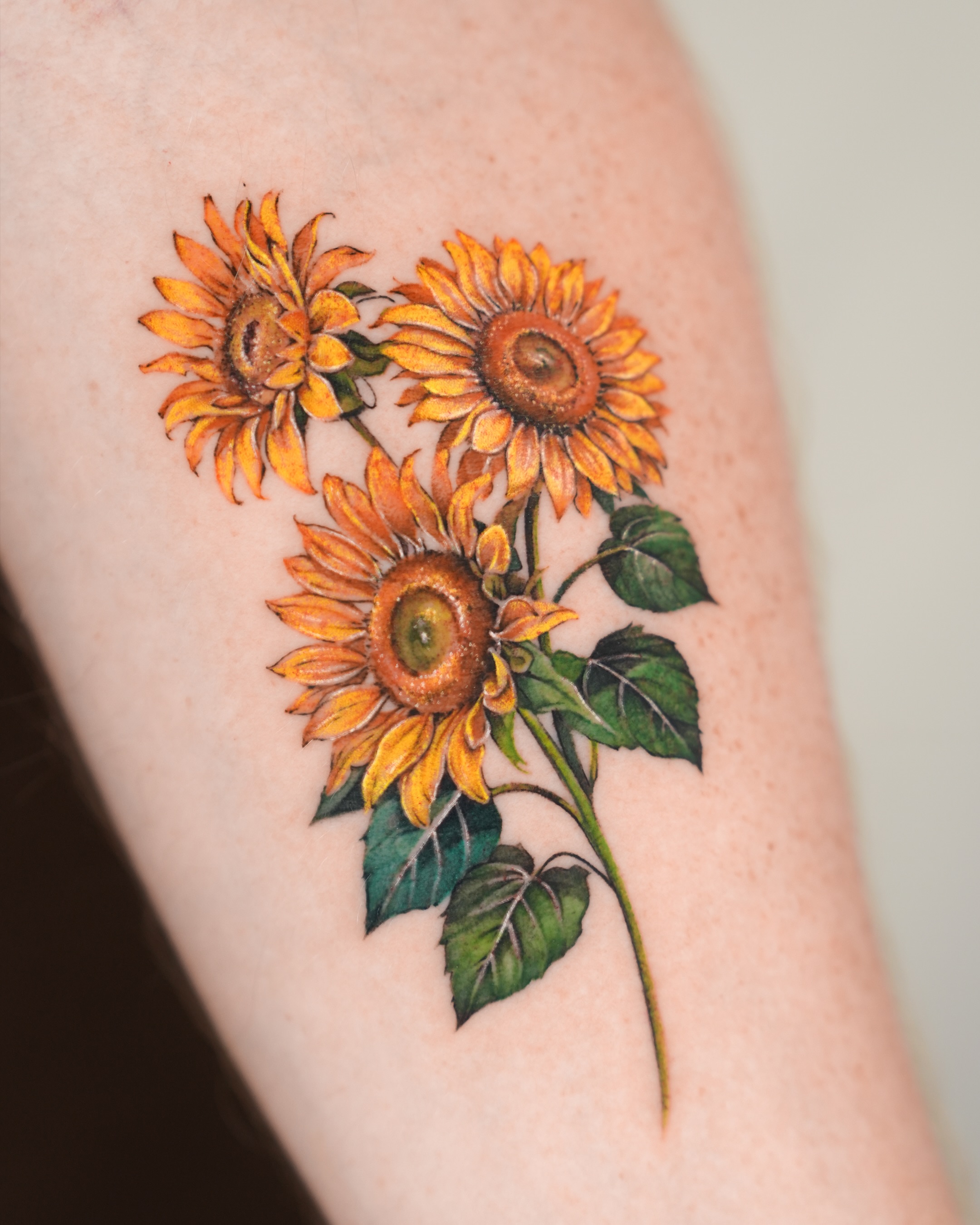 Flower, 해바라기, 데이지