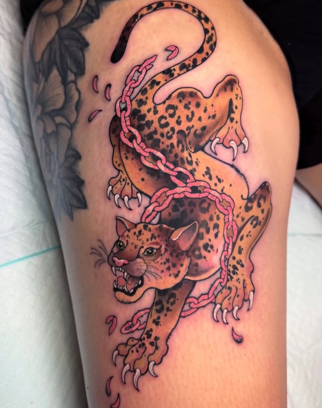 Tiger, Animal
