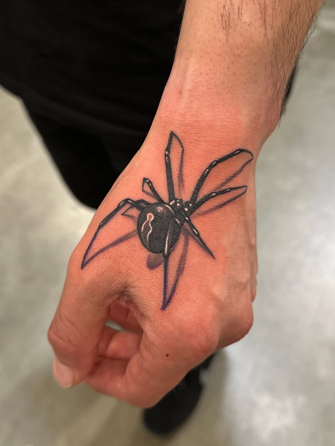 Animal