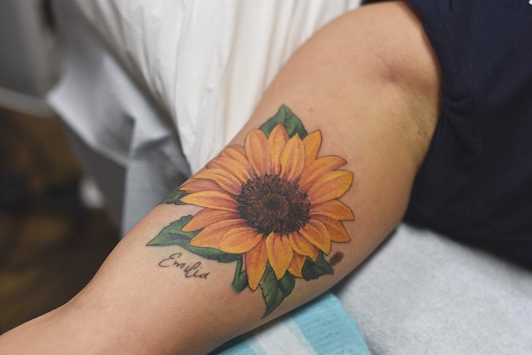 Flower