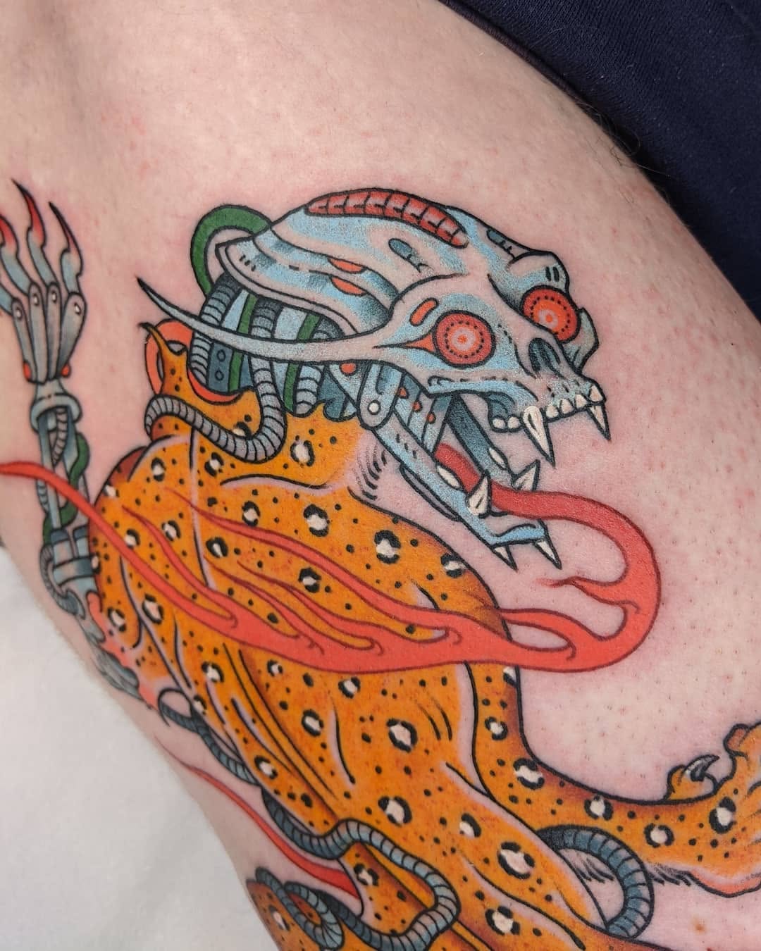 Dragon