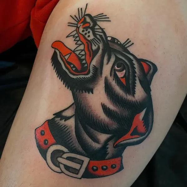 Animal, Tiger