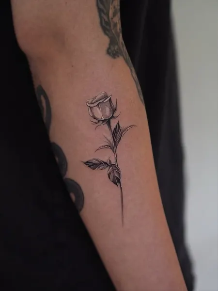 Flower, Rose