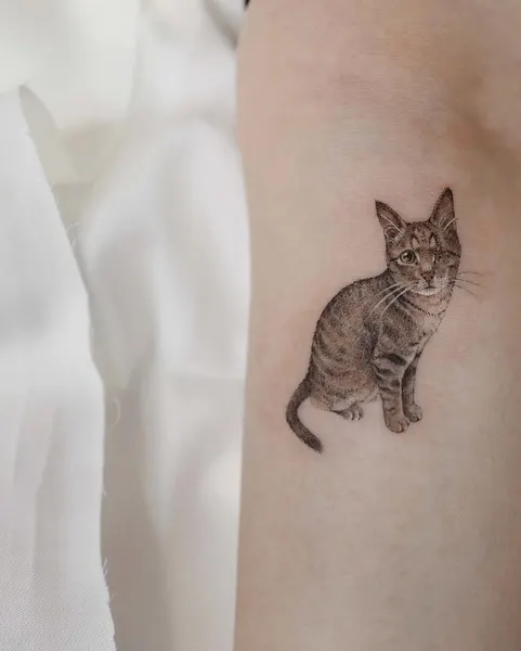 고양이