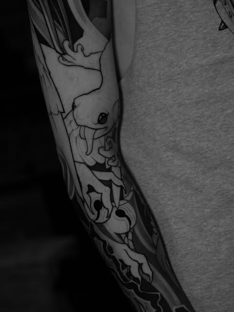 dani_saret