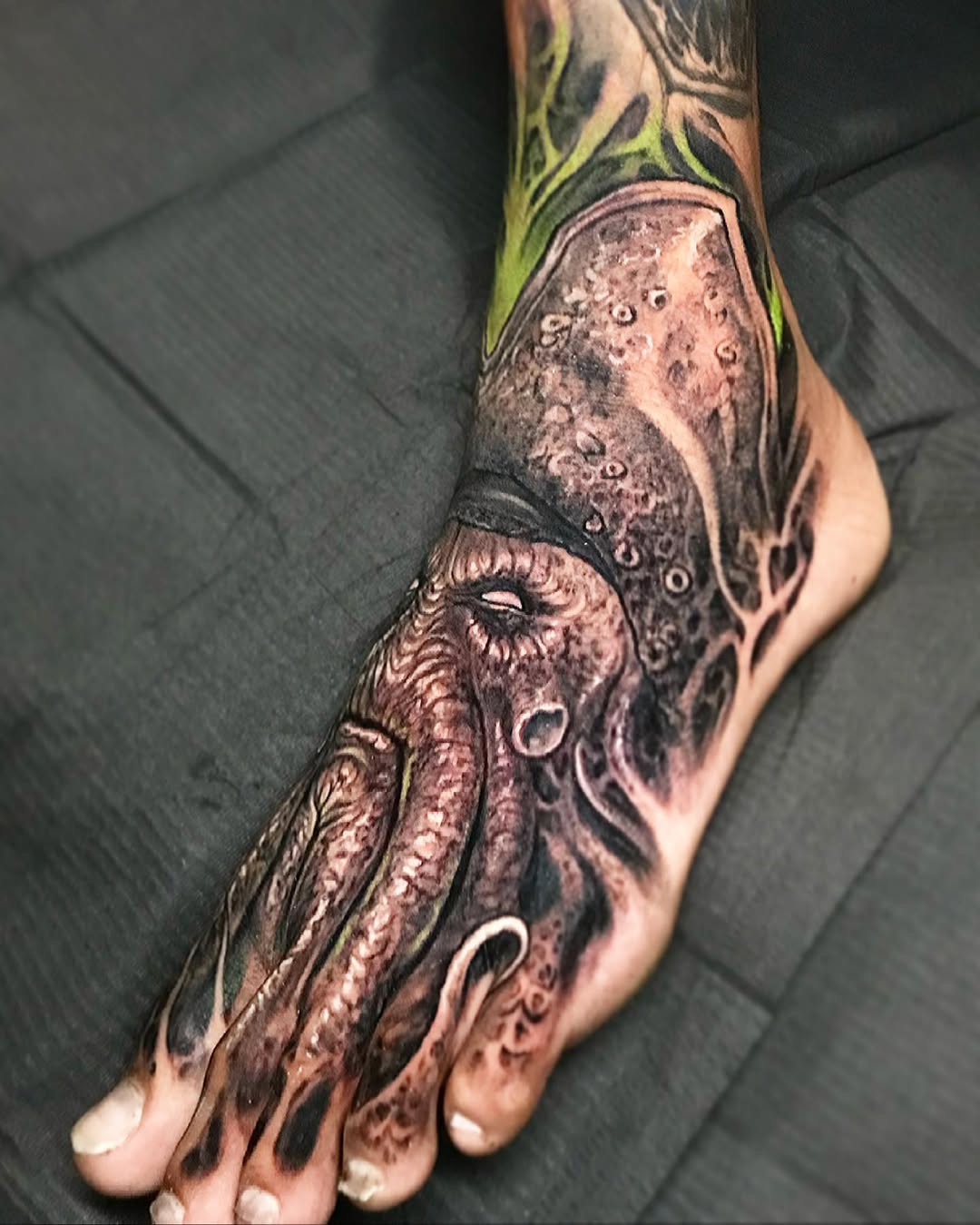 Animal