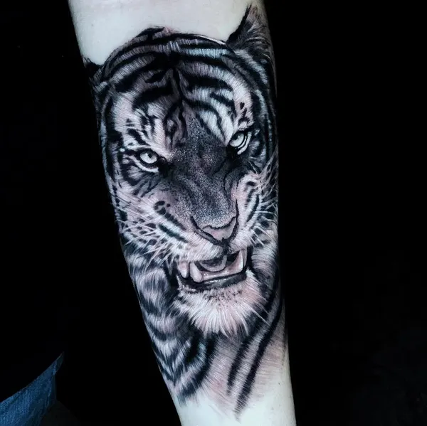 Tiger, 한국 호랑이, 중국 호랑이