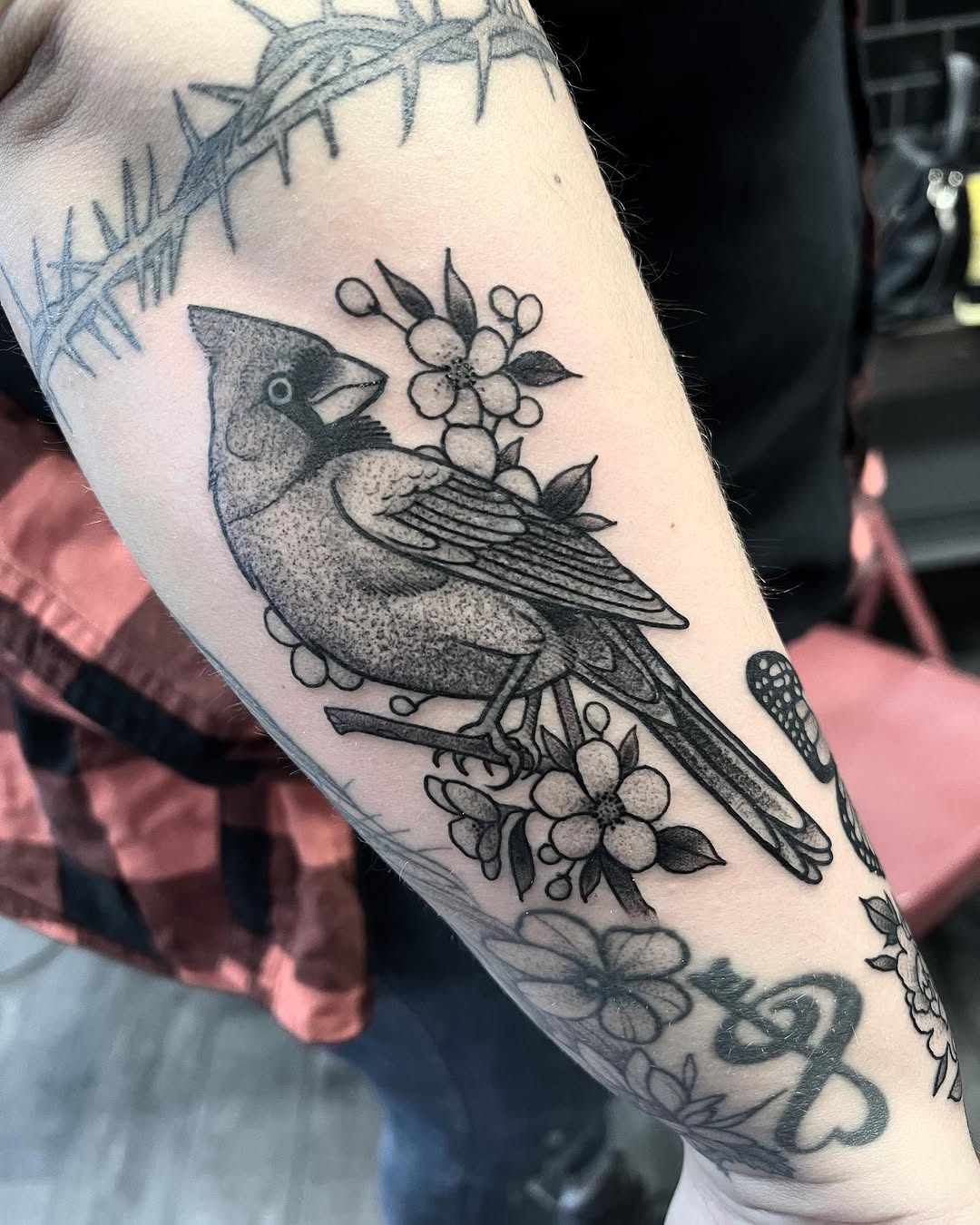 Flower, Animal, Nature