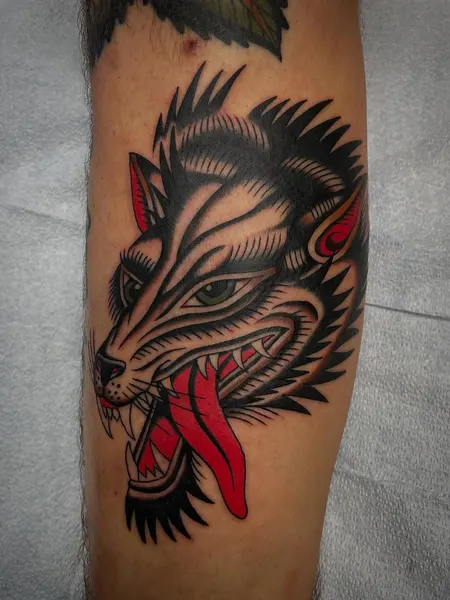 Tiger, Animal