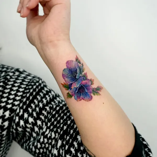 Flower, 모란, 수국