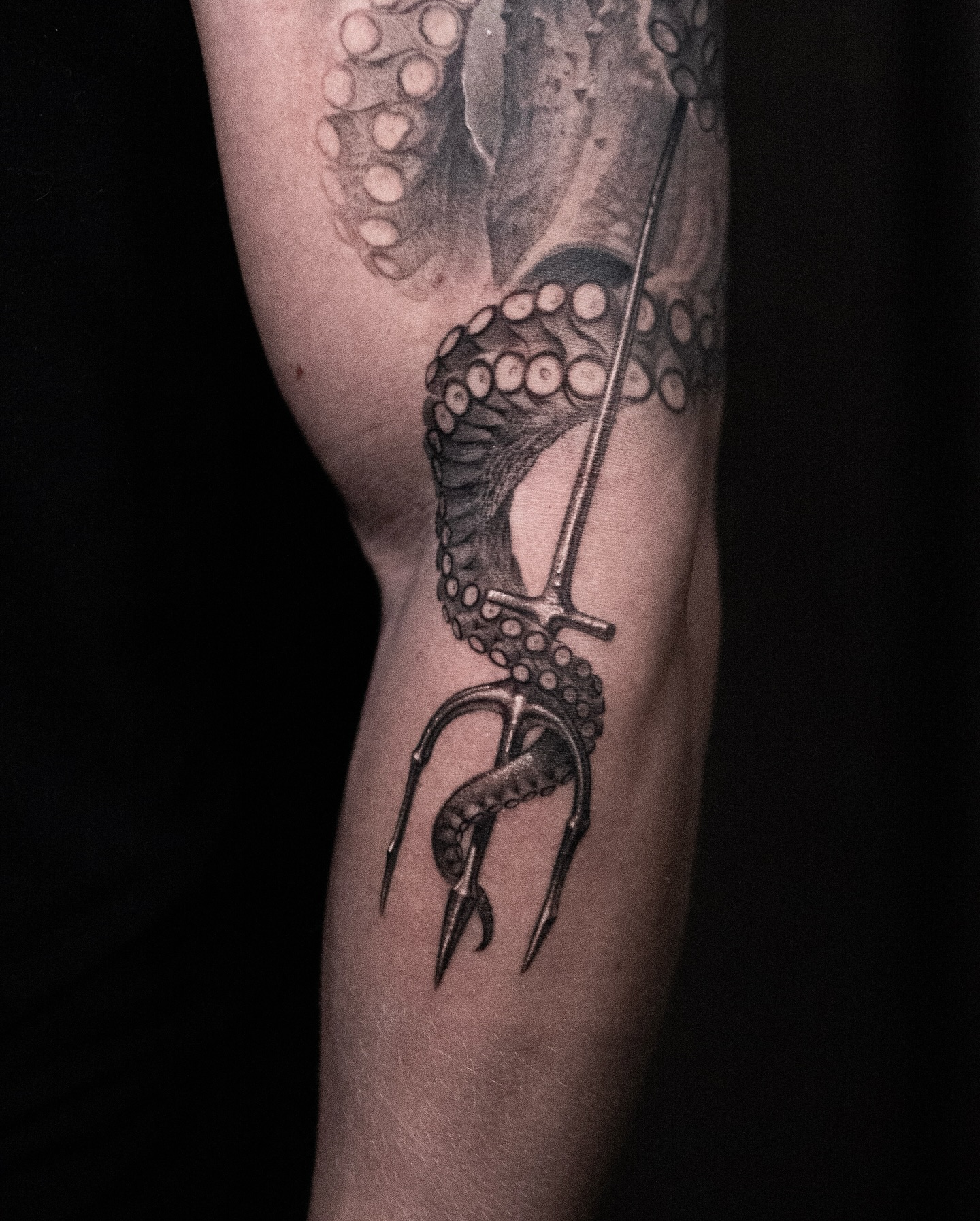 Animal, 문어