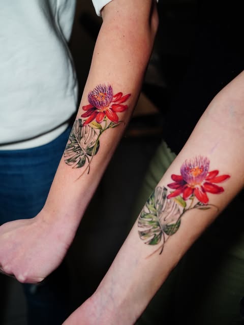 Flower, Rose