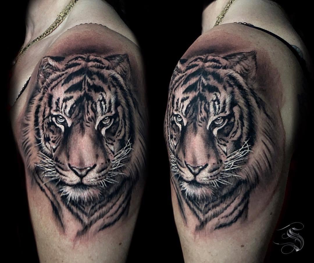 Tiger