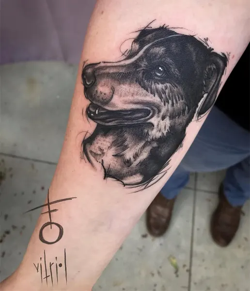 Animal